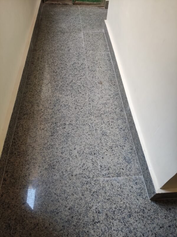 469523333_1783832342450195_7936301330954121704_n