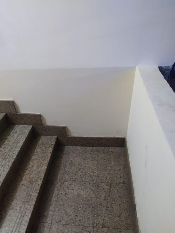 67646393_479712226195553_7003912047008153600_n